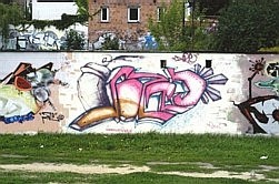Lato 2003 r.